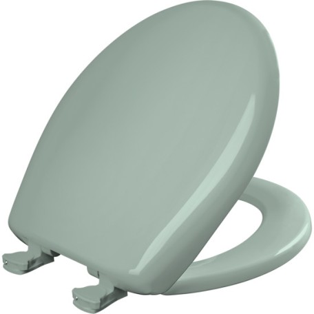 Seafoam Toilet Seats